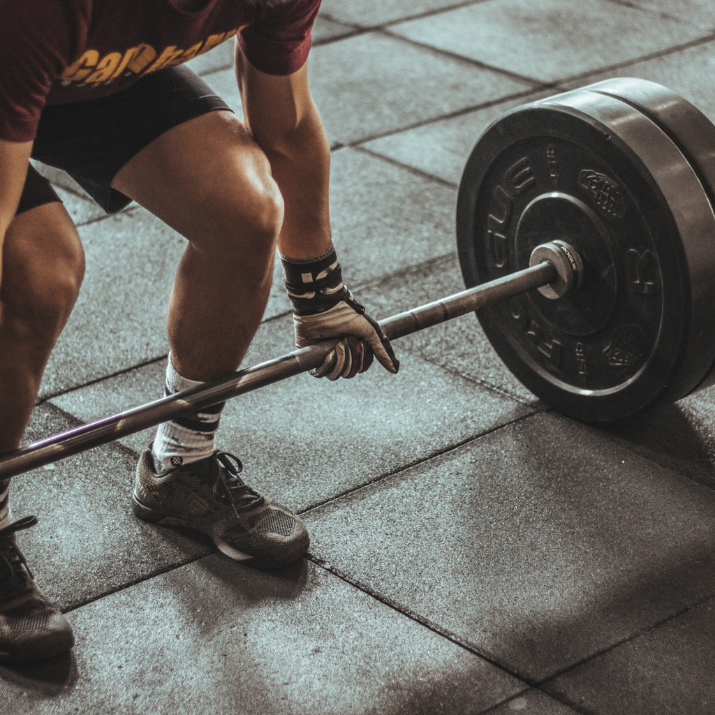 Barbell Deadlifts