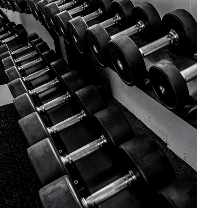 Dumbbell rack